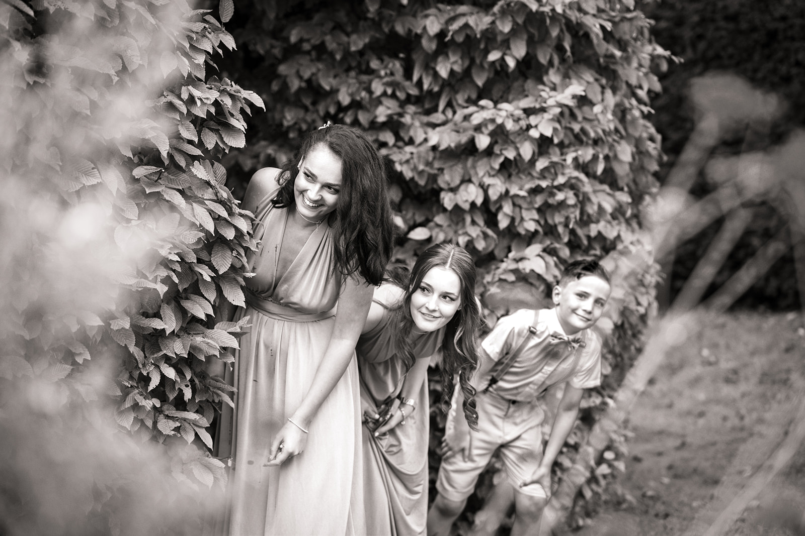 weddisimo