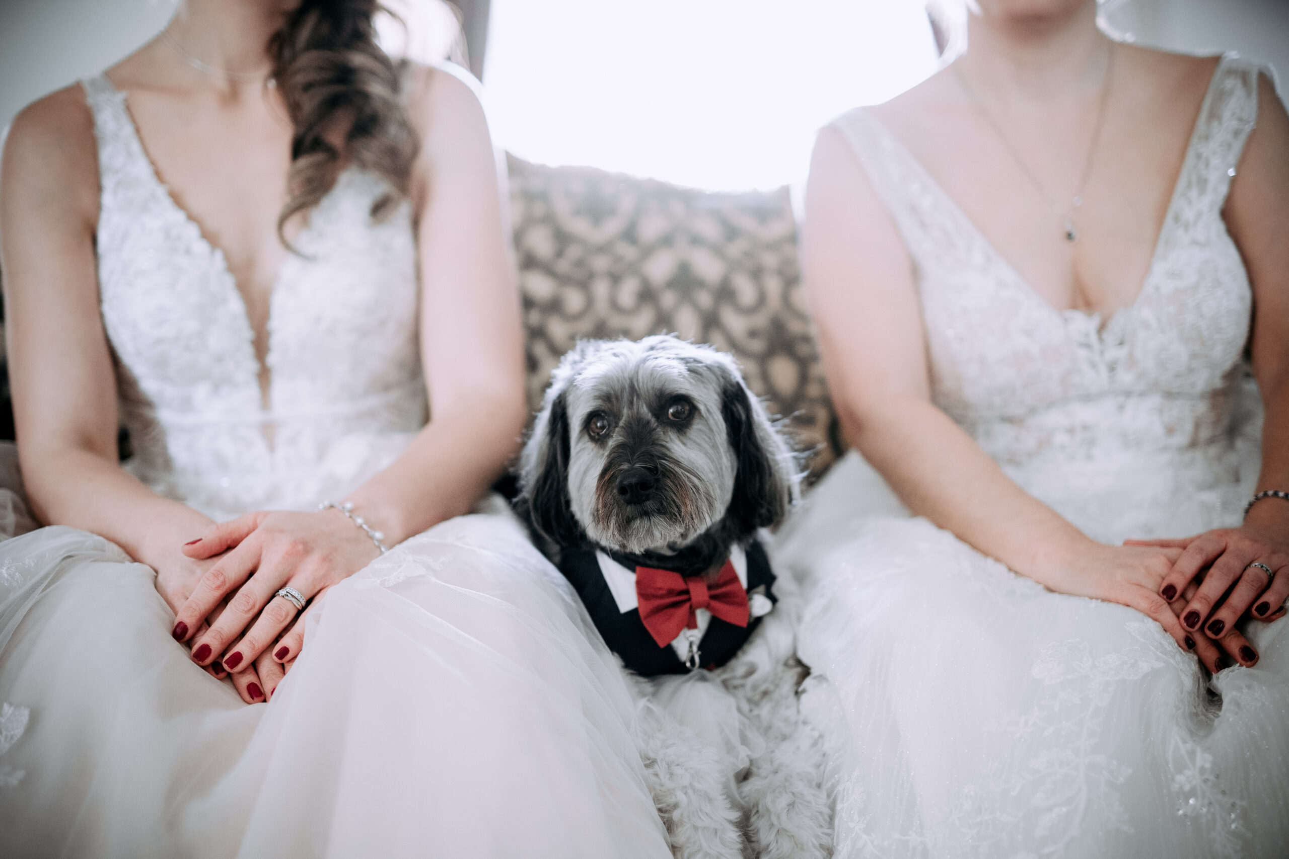 Two bridesmaids sitting on a couch with a dog in a bow tie. (listing)